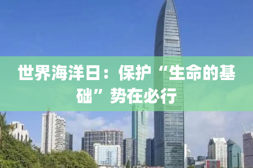 世界海洋日：保護“生命的基礎(chǔ)”勢在必行