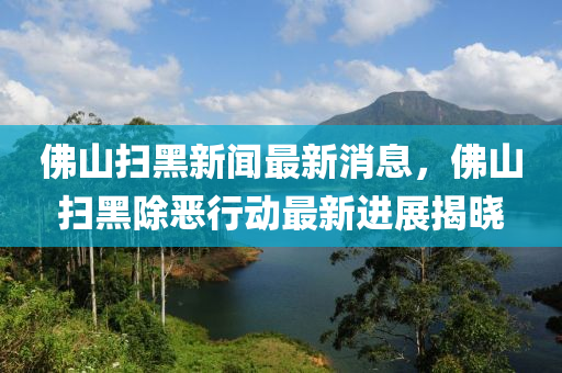 佛山掃黑新聞最新消息，佛山掃黑除惡行動最新進展揭曉