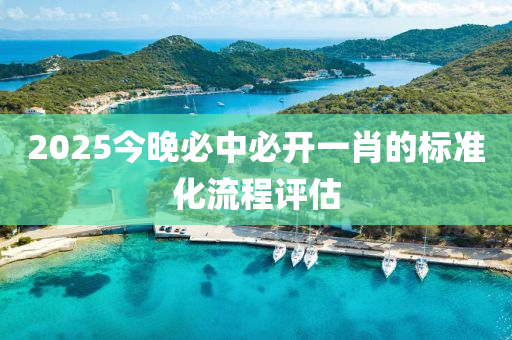 2025今晚必中必開一肖的標(biāo)準(zhǔn)化流程評估木工機械,設(shè)備,零部件