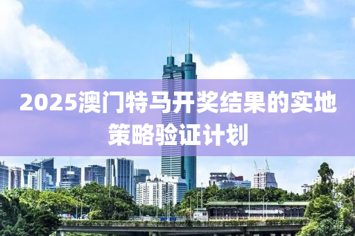 2025澳門特馬木工機械,設備,零部件開獎結果的實地策略驗證計劃