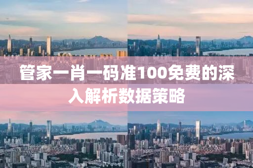 管家一肖一碼準100免費的深入解析數(shù)據(jù)策略木工機械,設(shè)備,零部件