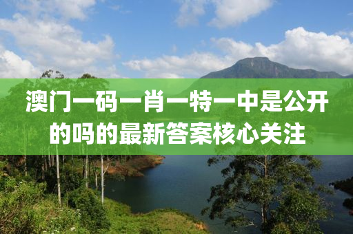 澳門一碼一肖一特一中是公開的嗎的最新答案核心關注