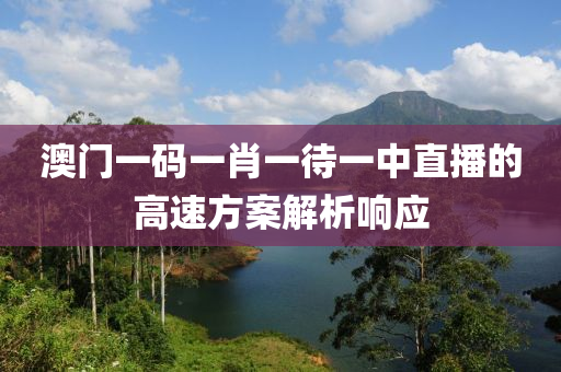 澳門一碼一肖一待一中直播的高速方案解析響應(yīng)