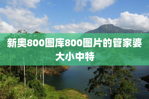 新奧800圖庫800圖片的管家婆大小中特