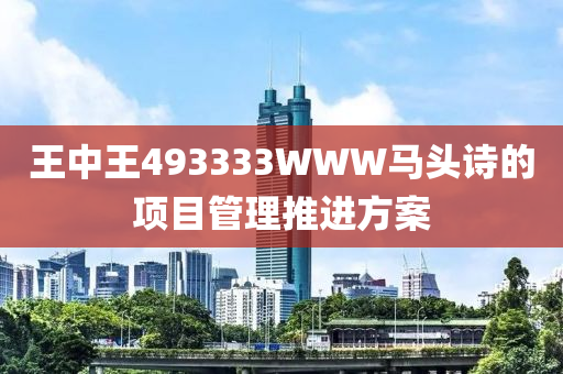 王中王493333WWW馬頭詩的項目管理推進方案