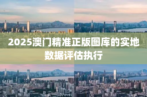 2025澳門精準(zhǔn)正版圖庫的實地數(shù)據(jù)評估執(zhí)行