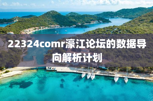 22324comr濠江論壇的數據導向解析計劃