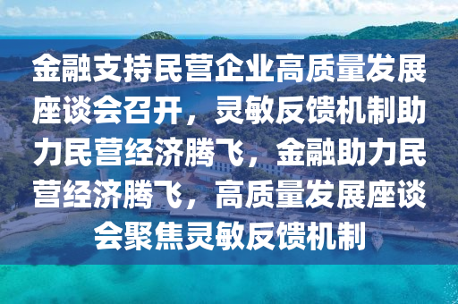 金融支持民營(yíng)企業(yè)高質(zhì)量發(fā)展座談會(huì)召開，靈敏反饋機(jī)制助力民營(yíng)經(jīng)濟(jì)騰飛，金融助力民營(yíng)經(jīng)濟(jì)騰飛，高質(zhì)量發(fā)展座談會(huì)聚焦靈敏反饋機(jī)制木工機(jī)械,設(shè)備,零部件