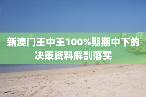 新澳門(mén)王中王100%期期中下的決策資料解剖落實(shí)